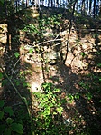 IMG_20210814_172839