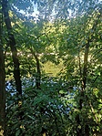 IMG_20210918_103131