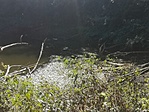 IMG_20210918_103427