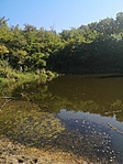IMG_20210918_103502