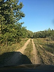 IMG_5337