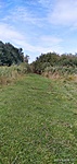 IMG_20210902_103138