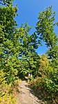 2021-09-26 09.20.06R