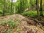 Fehér-kő árok