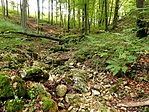 vadregényes
