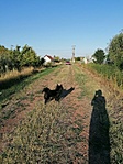 Hektor és az "árnyék"