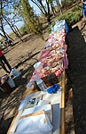DSC03806