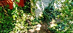 IMG20210904103822