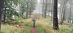 4790. Vércverés kilátás MÁTRA (9)