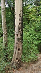 IMG_20210918_133228