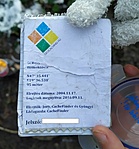 P_Homoktovis_20191208_153131_2