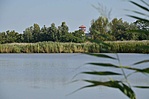 Gyopáros