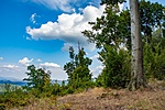_DSC3865