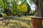 _DSC3881