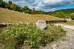 _DSC3931