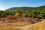 _DSC4026