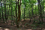 _DSC4039