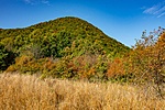 _DSC4027