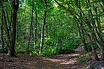 _DSC4028