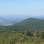 A193046D-9508-48CA-9E28-A102C6BFE814