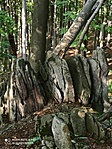 IMG_20210907_160301