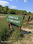 IMG_20210912_133341