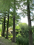 IMG_6197