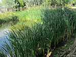 IMG_6200