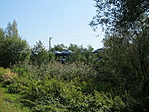 IMG_6420
