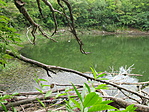 IMG_6780
