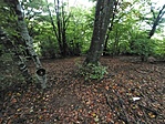 IMG_20210923_165630_051