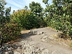 20210915_150119_HDR