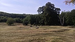IMG_20210914_125646