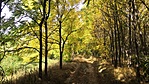 IMG_20210914_131931