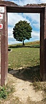 A kapu
