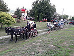 Szüreti felvonulás (Regöly)