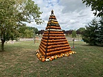 242269287_1307972259620790_8485046647036624345_n