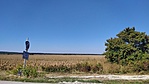 IMG_20210925_103633