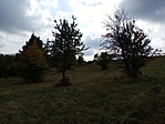 20210929_125021