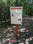 IMG_20210904_113552