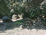 IMG_20210904_114731