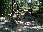 IMG_20210904_115150_1