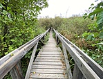 gcblat-IMG_1698