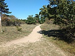IMG_20210912_122108