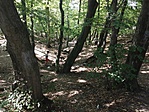 IMG_20210912_122259