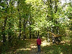 Színek