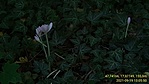 M21_BC_20210919_130550_2.jpg