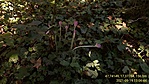 M21_BC_20210919_130644_2.jpg