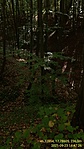 GCTOTO_20210923_144718