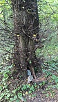 IMG_20210901_180725